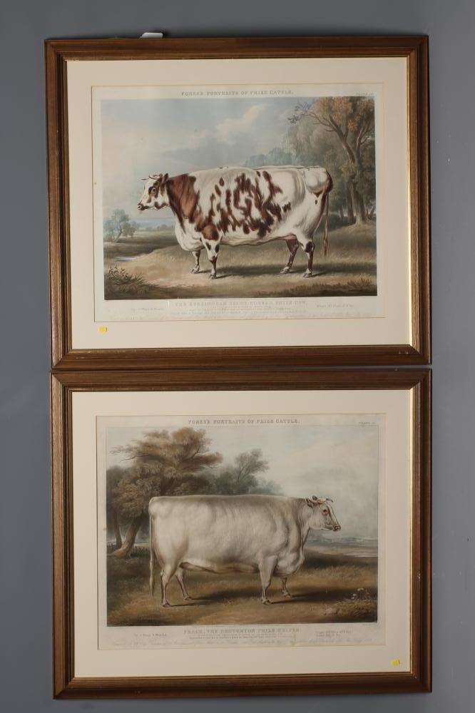 JOHN HARRIS III (1811-1865) Image