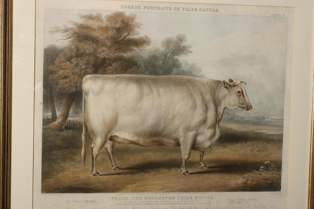 JOHN HARRIS III (1811-1865) Image