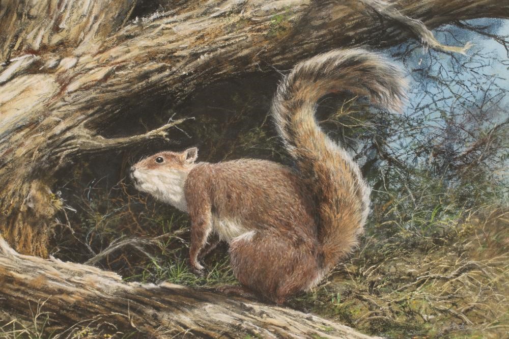 ‡JOHN SEEREY-LESTER (b.1945) Image