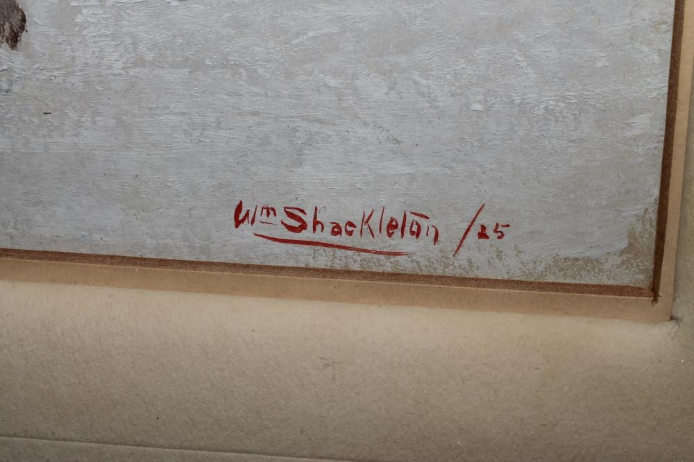 WILLIAM SHACKLETON N.E.A.C. (1872-1933) Image