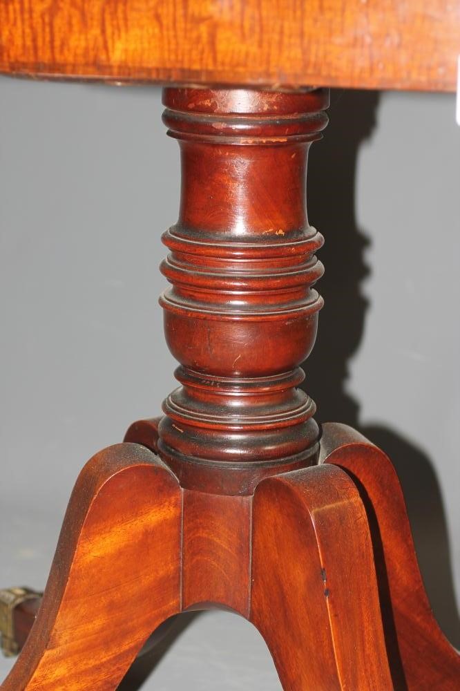 A REGENCY MAHOGANY FOLDING CARD TABLE of rounded oblong form with rosewood banding Image