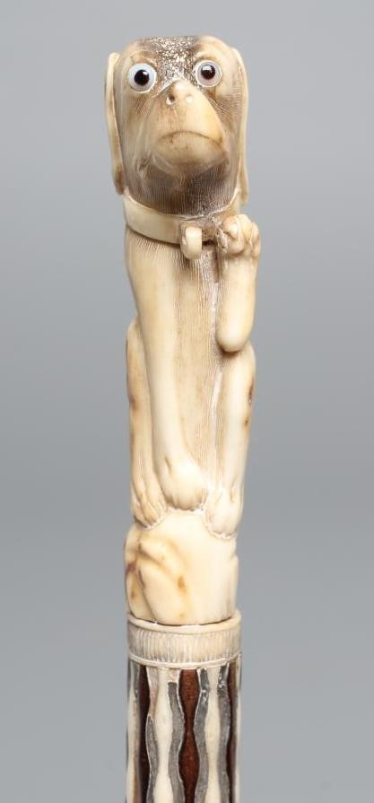 A GEORGIAN GENTLEMAN'S WALKING CANE Image