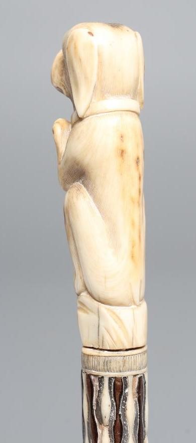 A GEORGIAN GENTLEMAN'S WALKING CANE Image