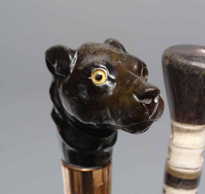 A VICTORIAN GENTLEMAN'S WALKING CANE Image