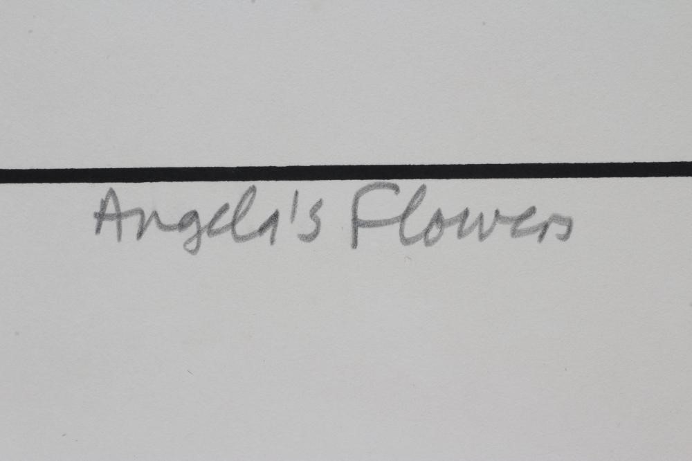PATRICK HUGHES (b.1939) "Angela's Flowers" Image