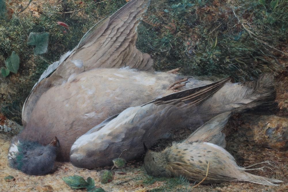 HARRY SUTTON PALMER (1854-1933) Still Life With Game Birds, watercolour heightened with white, Image