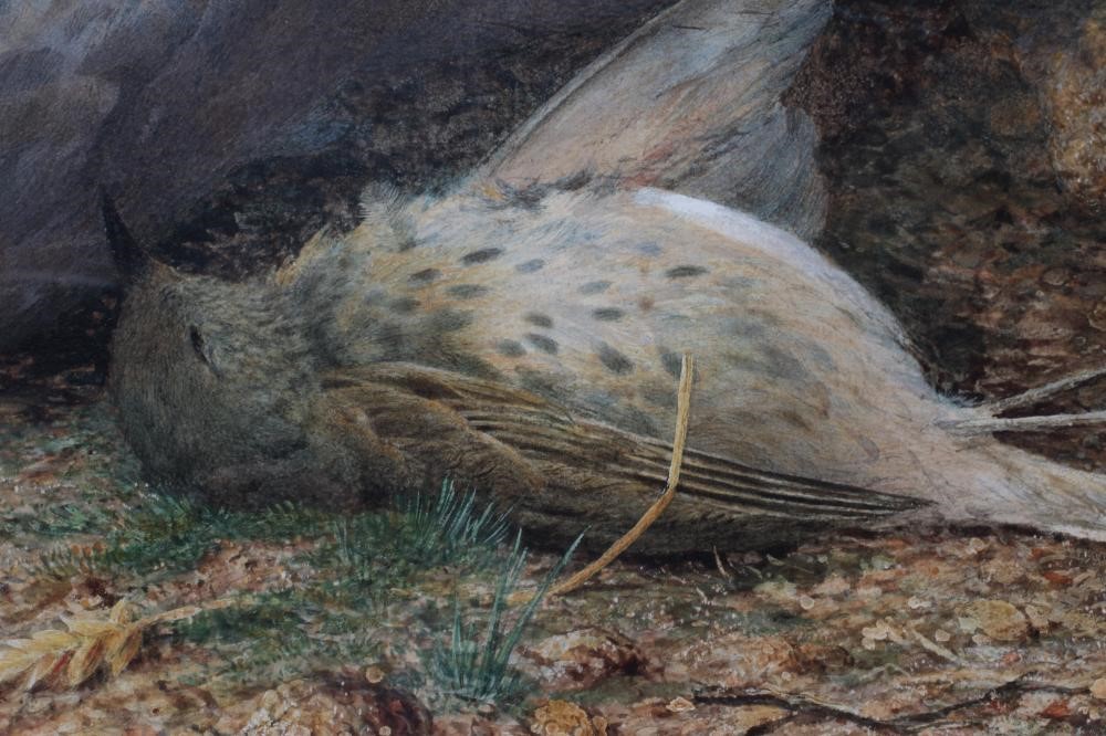 HARRY SUTTON PALMER (1854-1933) Still Life With Game Birds, watercolour heightened with white, Image