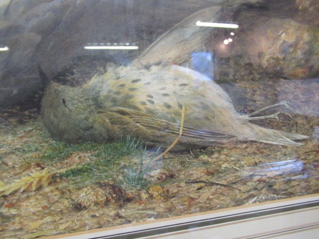 HARRY SUTTON PALMER (1854-1933) Still Life With Game Birds, watercolour heightened with white, Image