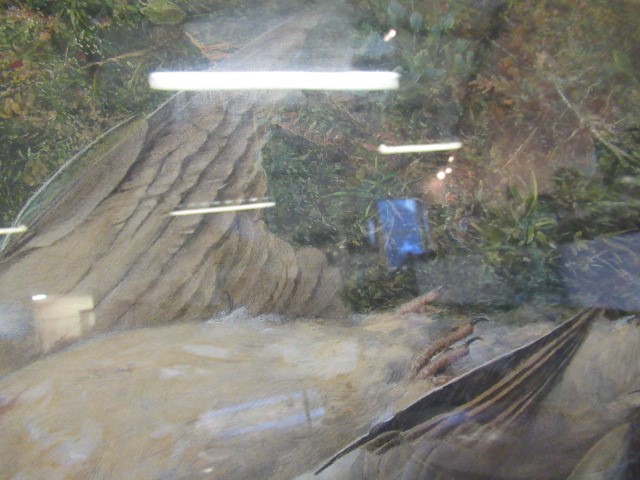 HARRY SUTTON PALMER (1854-1933) Still Life With Game Birds, watercolour heightened with white, Image