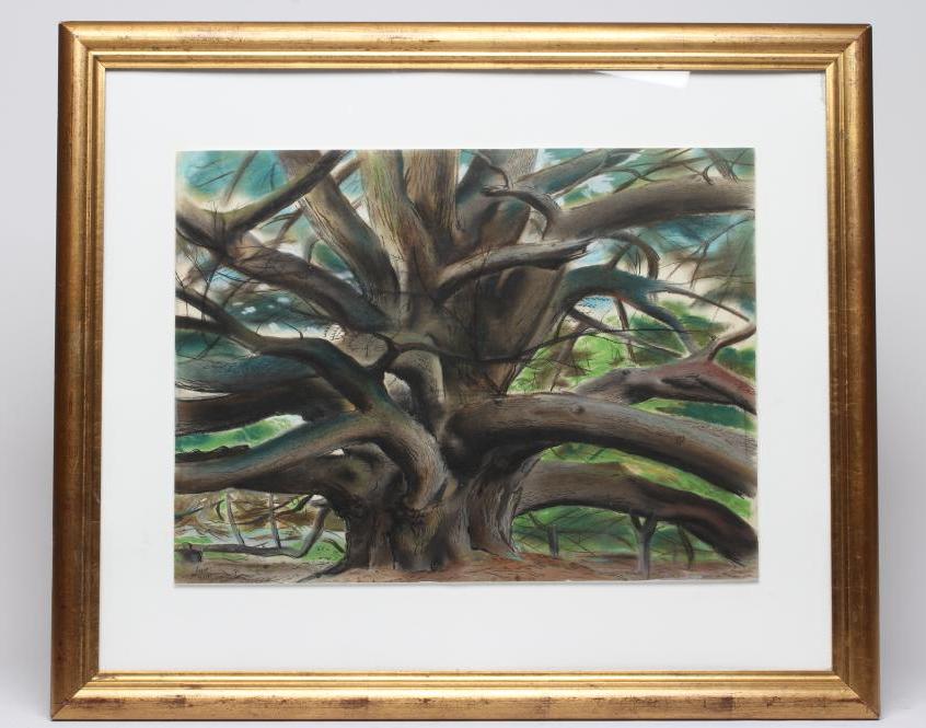 HENRY JAMES NEAVE (1911-1971) "The Great Tree", pastel with pen and ink, signed and dated 1945, 14 Image
