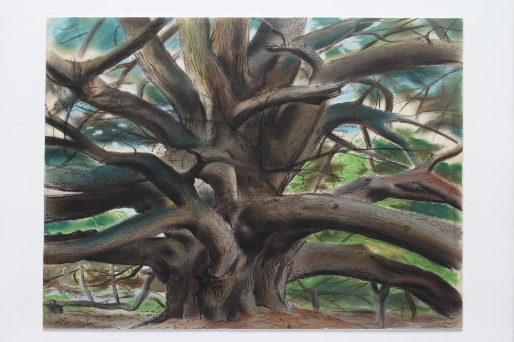HENRY JAMES NEAVE (1911-1971) "The Great Tree", pastel with pen and ink, signed and dated 1945, 14 Image