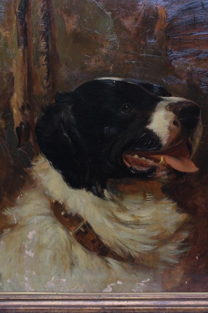 CIRCLE OF ARTHUR WARDLE (1864-1949) Portrait of a St Bernard, oil on canvas, bears signature, 24 Image