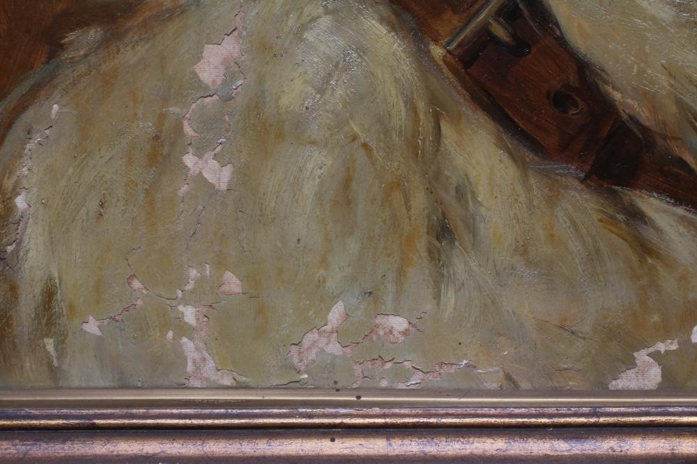 CIRCLE OF ARTHUR WARDLE (1864-1949) Portrait of a St Bernard, oil on canvas, bears signature, 24 Image