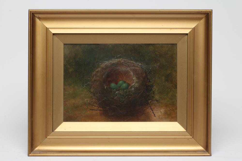BRITISH SCHOOL (19th century) Study of a Birds Nest, oil on canvas, indistinctly signed, 7" x 10", Image