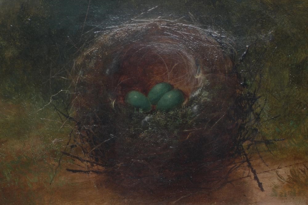 BRITISH SCHOOL (19th century) Study of a Birds Nest, oil on canvas, indistinctly signed, 7" x 10", Image