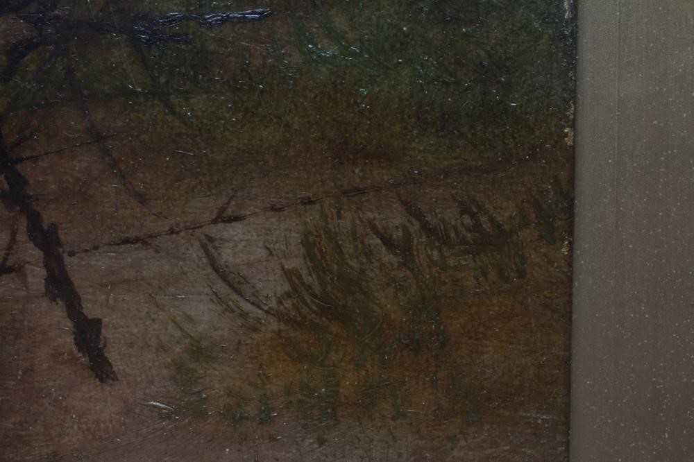 BRITISH SCHOOL (19th century) Study of a Birds Nest, oil on canvas, indistinctly signed, 7" x 10", Image