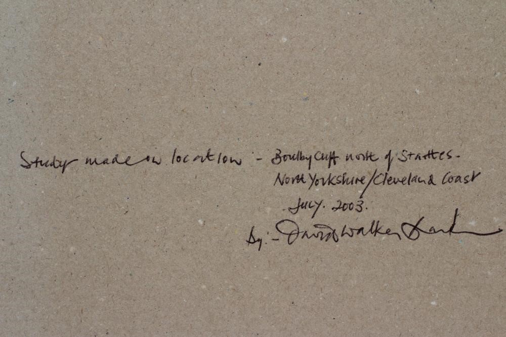 DAVID WALKER-BARKER (b.1947) Boulby Cliff North of Staiths Image