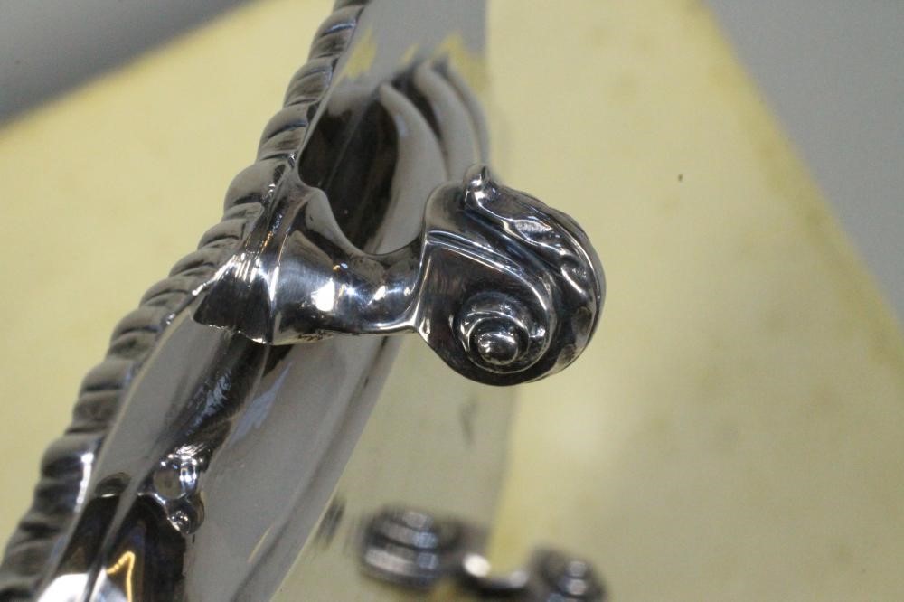 A SILVER SALVER Image