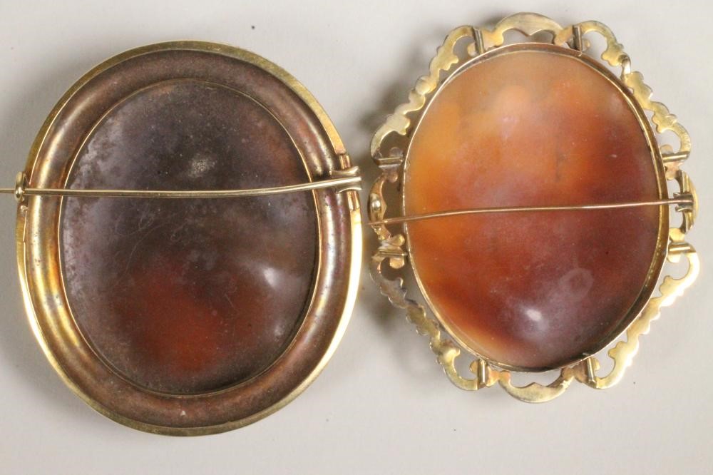 TWO VICTORIAN OVAL SHELL CAMEO BROOCHES Image