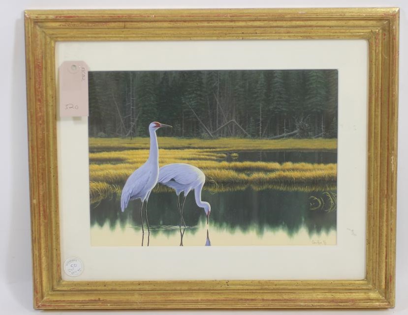 ‡CHRIS ROSE (b.1959) Image