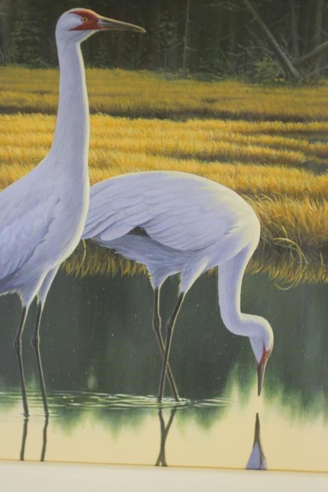 ‡CHRIS ROSE (b.1959) Image