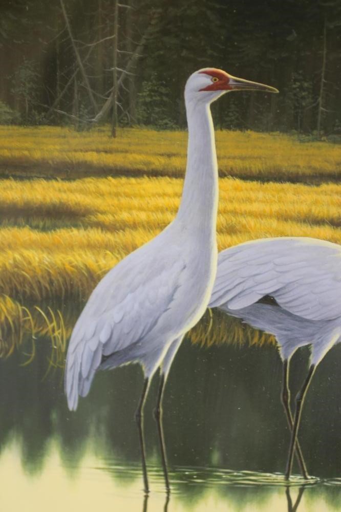 ‡CHRIS ROSE (b.1959) Image