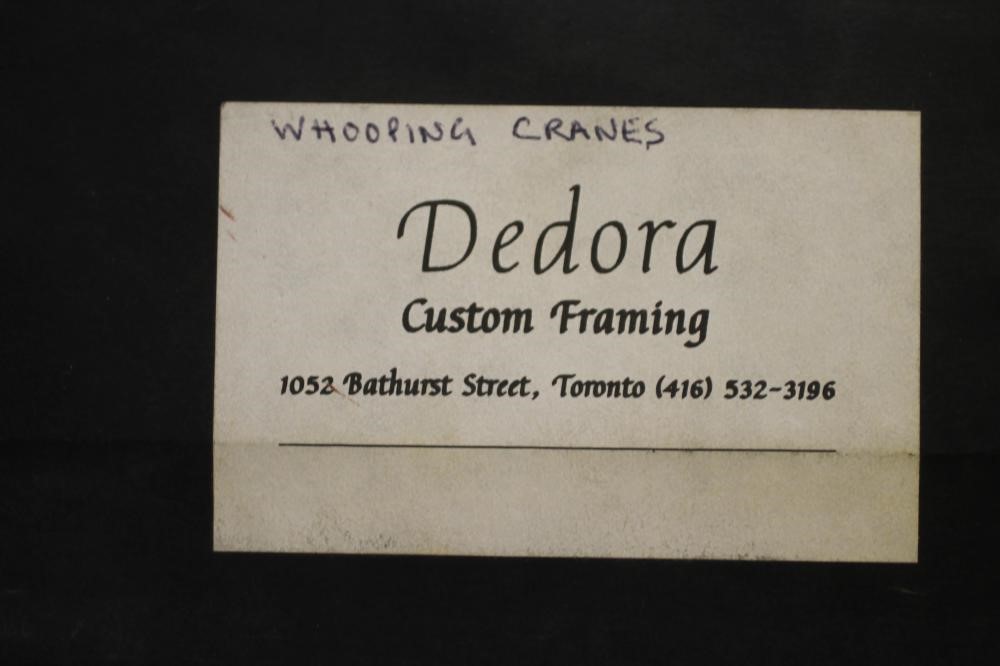 ‡CHRIS ROSE (b.1959) Image