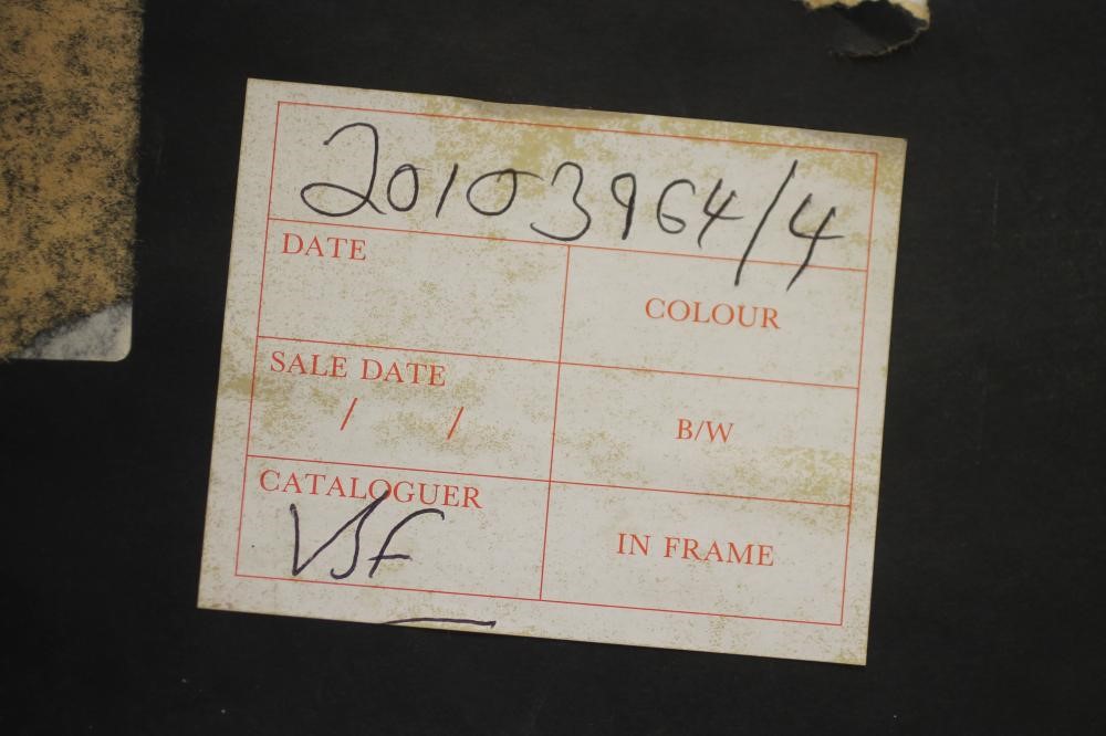 ‡CHRIS ROSE (b.1959) Image