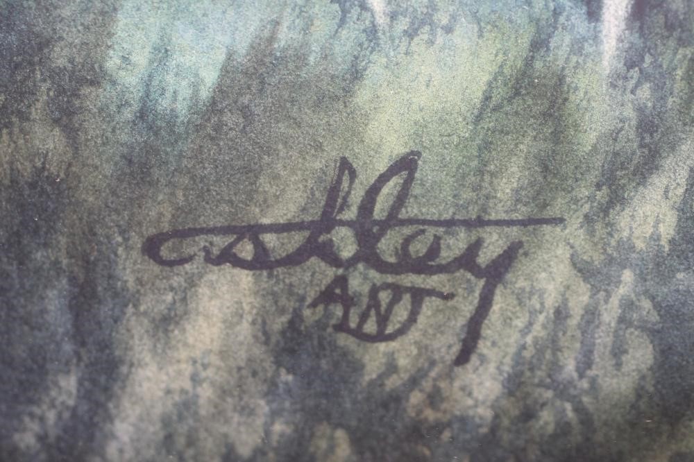 ‡ASHLEY JACKSON (b.1940) Image