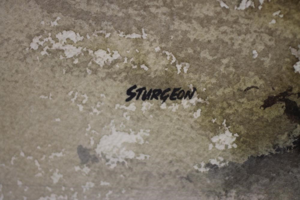 ‡ERIC R STURGEON (1920-1999) Image