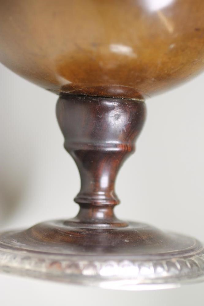 A COCONUT CUP Image