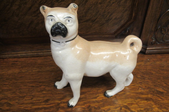 FRENCH BULLDOG MODEL Image