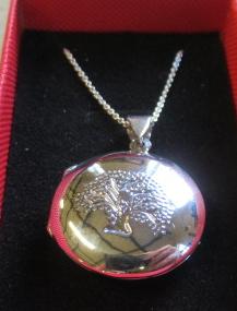SILVER LOCKET ON SILVER CHAIN Image