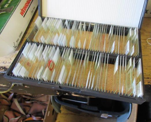 BOX OF MICROSCOPE SLIDES Image