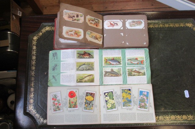 THREE ALBUMS OF CIGARETTE CARDS Image