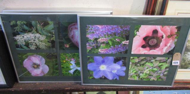 FOUR FRAMED NATURE PORTRAITS AND AN ANATOMY OF THE  COW CANVAS Image