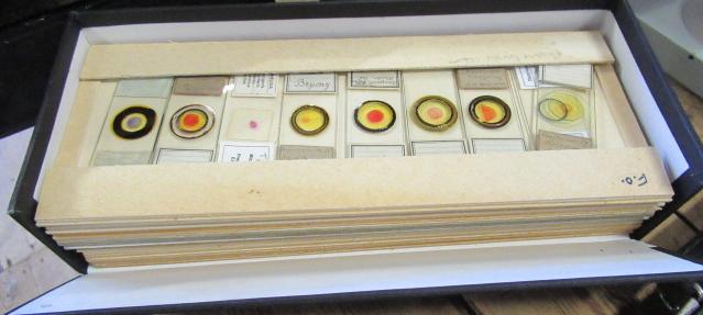 BOX OF MICROSCOPE SLIDES Image