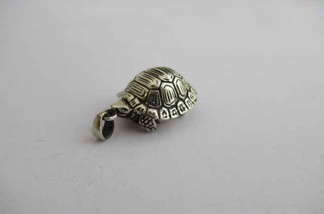 SILVER TORTOISE LOCKET Image