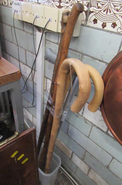 BUNDLE OF WALKING STICKS Image