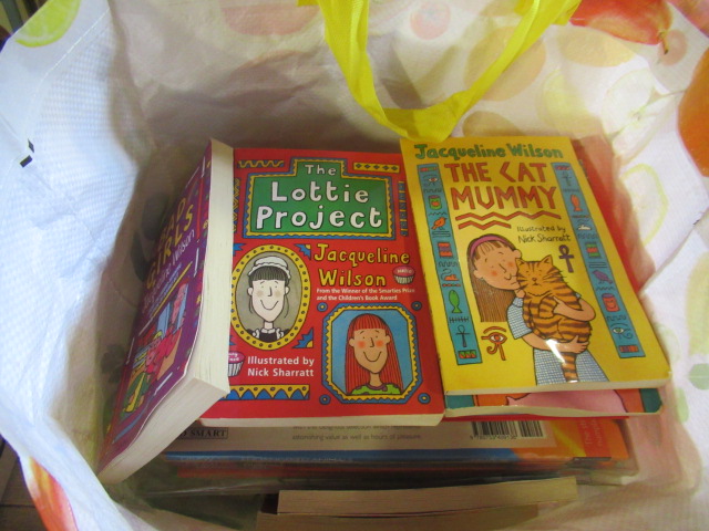 BAG OF CHILDRENS BOOKS AND ANNUALS Image