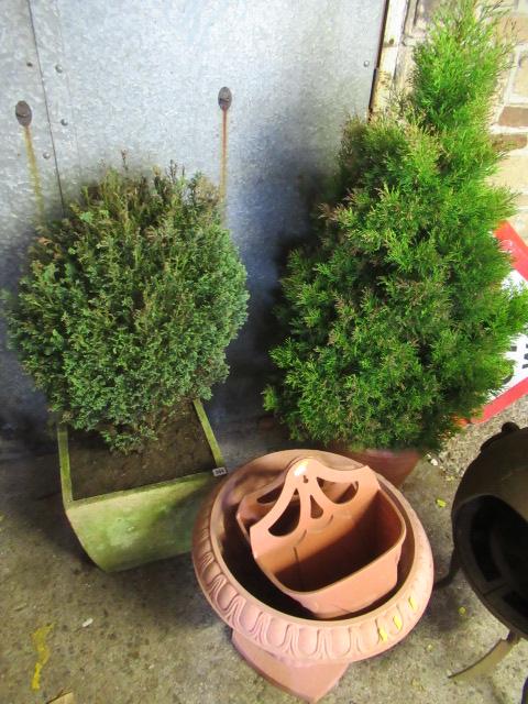 TWO POTTED SHRUBS AND PLASTIC GARDEN PLANTERS Image