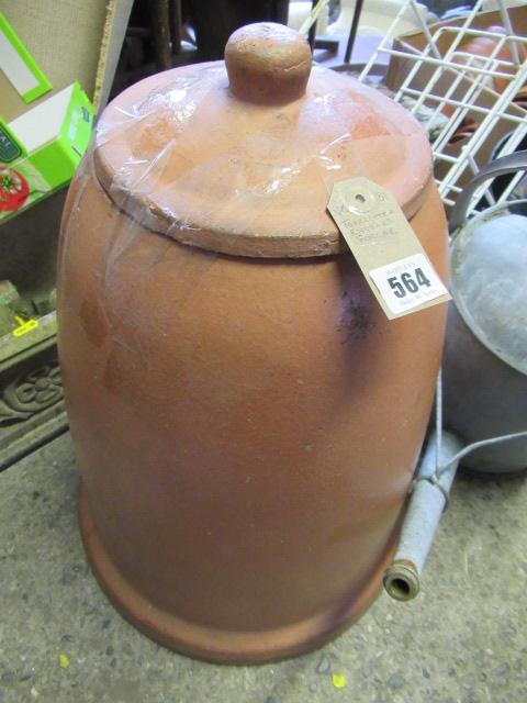 TERRACOTTA RHUBARB FORCER Image