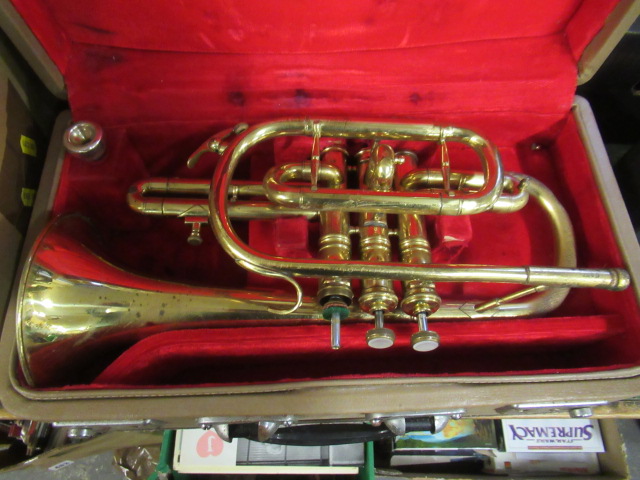 CASED CORNET Image