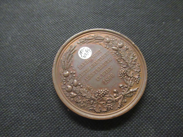 AUSTRIAN 1866 FORESTRY MEDALLION Image