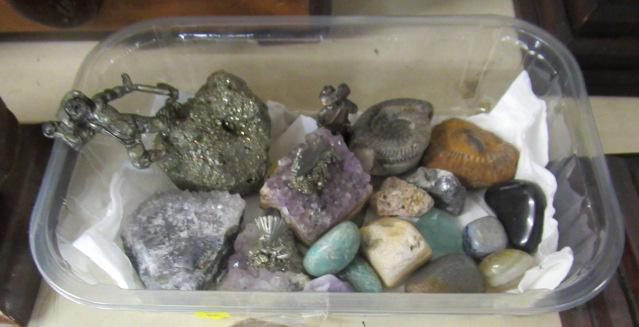 TUB OF MINERALS AND FOSSILS Image
