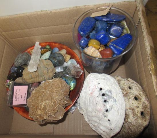 BOX OF SHELLS, FOSSILS AND ROCKS Image
