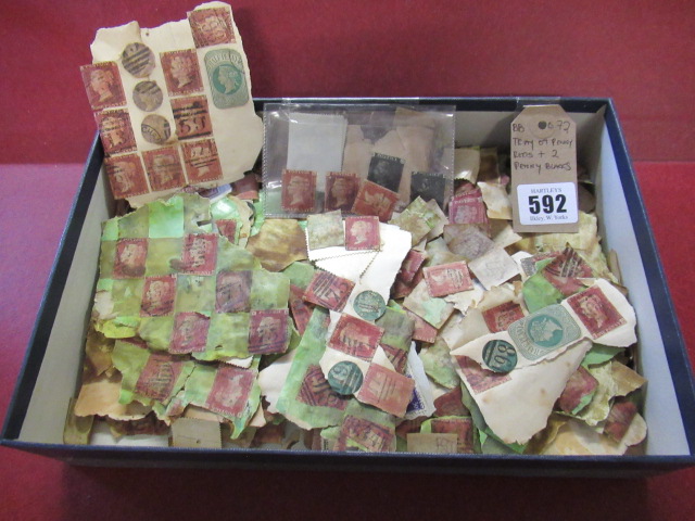 TRAY OF PENNY REDS WITH TWO PENNY BLACKS Image