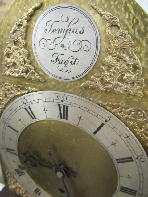 TEMPUS FUGIT GRANDMOTHER CLOCK Image
