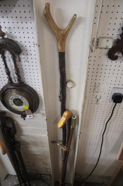 FOUR WALKING STICKS Image