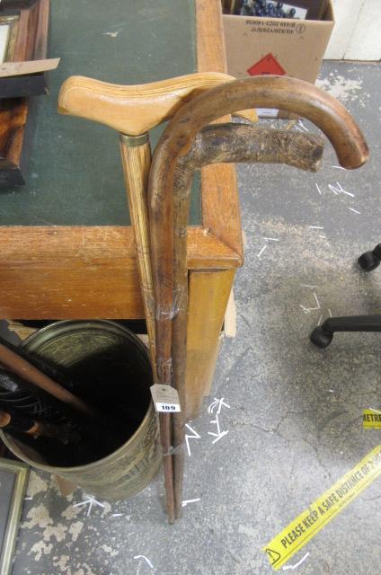 THREE WALKING STICKS Image